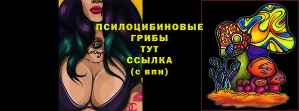 jwh Приозерск