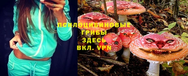 ECSTASY Пролетарск