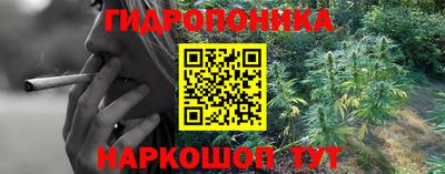 jwh Дубна