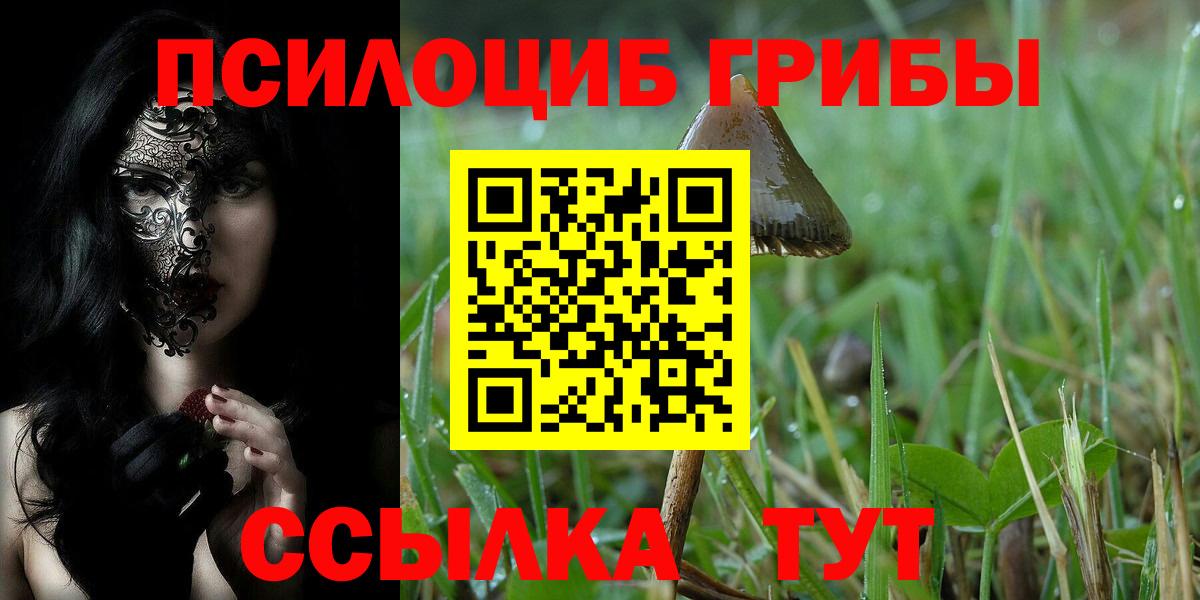 Стрежевой  Галлюциногенные грибы Cubensis  Вход с VPN  Галлюциногенные грибы GOLDEN TEACHER 