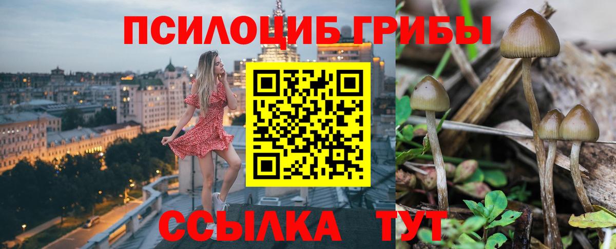 Галлюциногенные грибы MAGIC MUSHROOMS Стрежевой