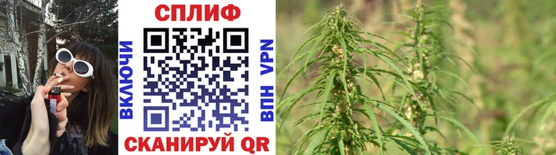блэк спрут зеркало Стрежевой мориарти какой сайт Бошки Шишки Ganja